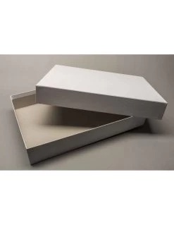 Doos Met Deksel (31,7x23x5,2cm)