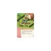 Imperial Settlers: Promodeck Azteken (NL) -Speelgoed Winkel imperial settlers promodeck azteken nl