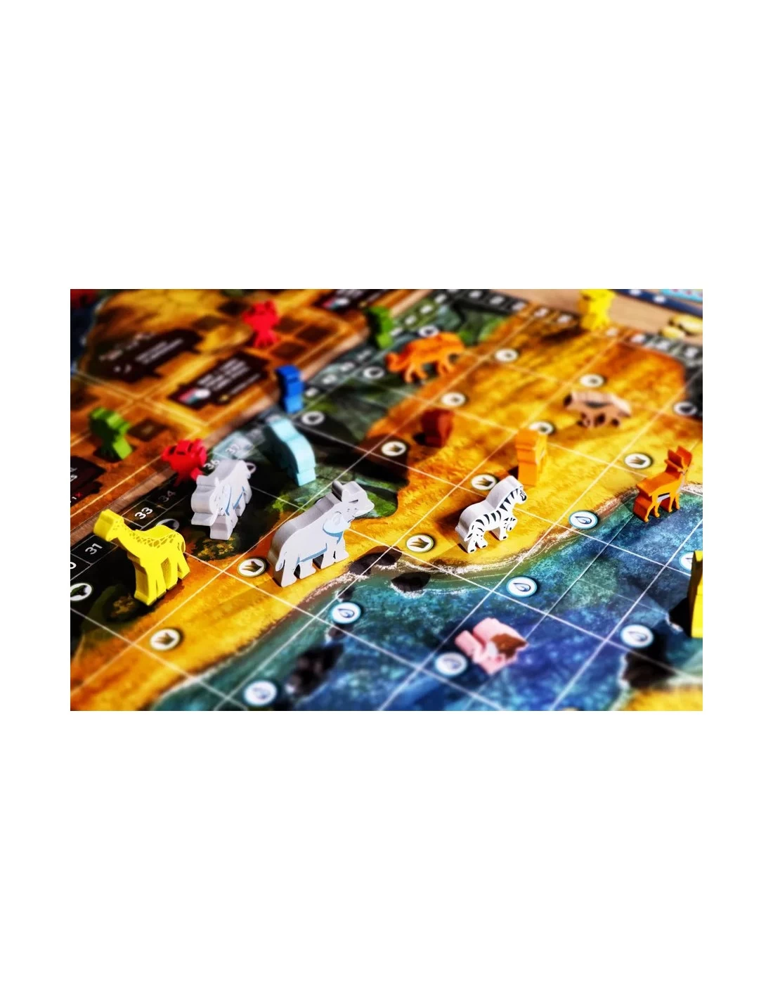 Wild Serengeti (NL) 4 Wild Serengeti (NL) - Afbeelding 2